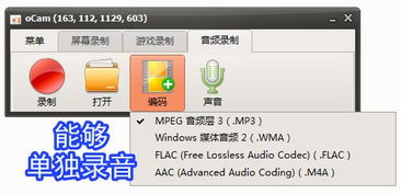 錄屏小將 ocam 全能錄屏、截圖與錄音的得力助手